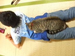 ���C�ɓ���