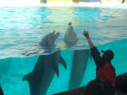 �C���J�V���[