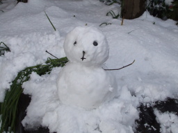 �䂫�����