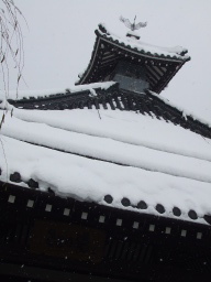 ������̉���