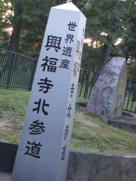 ���E��Y�H