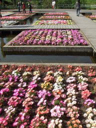 �Ƃ��Ƃ�ԉ�L