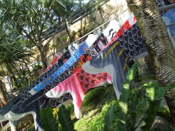 �����̂ڂ�